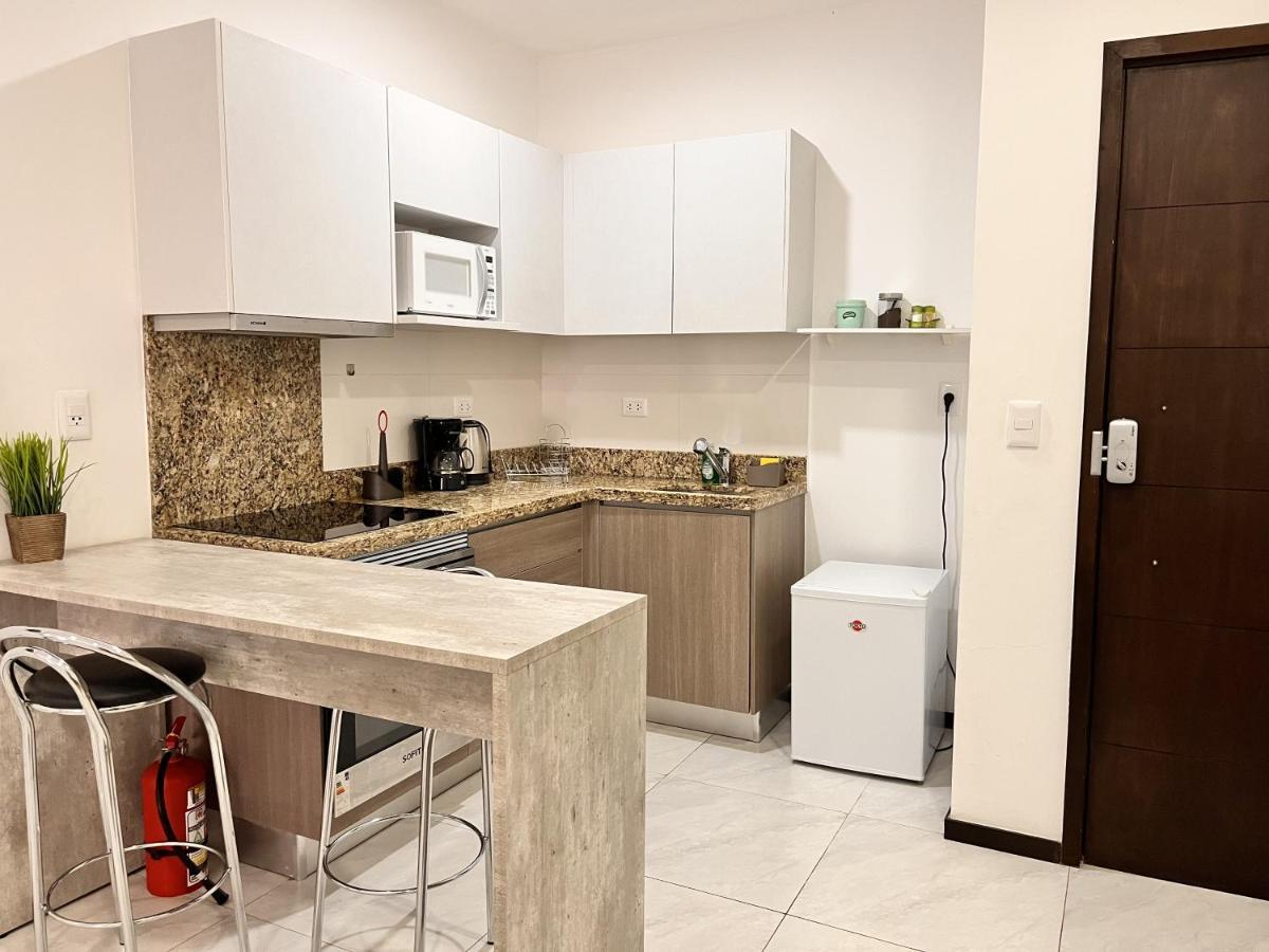 Departamento 1 Habitacion Zona Exclusiva Ασουνσιόν Εξωτερικό φωτογραφία